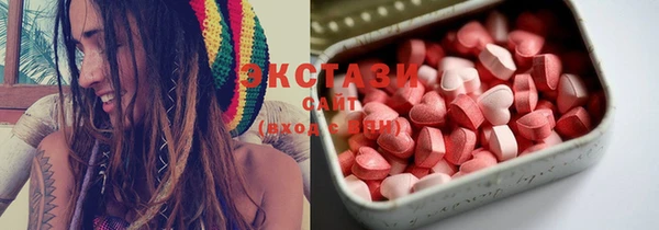шишки Арсеньев