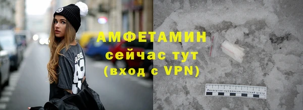 шишки Арсеньев