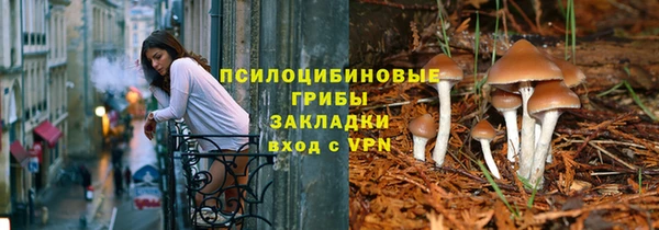 прущие крисы Армянск
