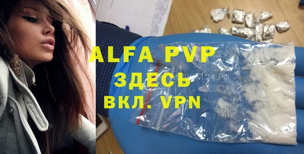 шишки Арсеньев