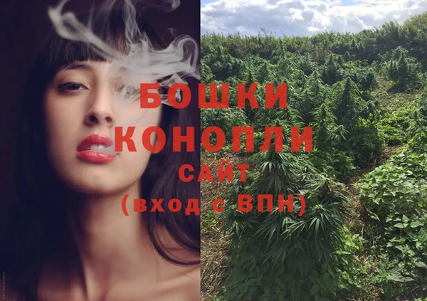 шишки Арсеньев