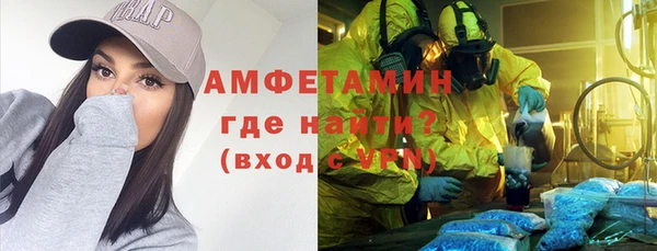 шишки Арсеньев