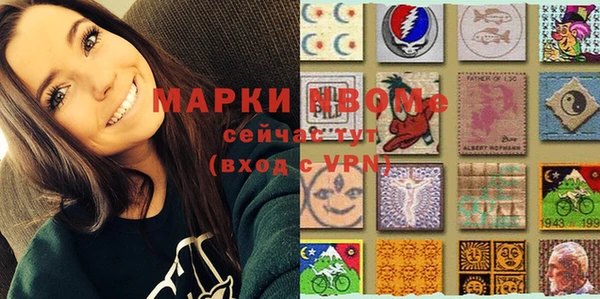 шишки Арсеньев
