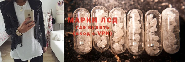 шишки Арсеньев